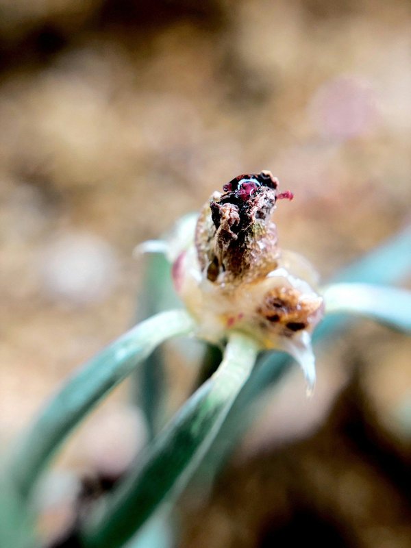 Wie kann man eine nachhaltige Garderobe für den Winter zusammenstellen?